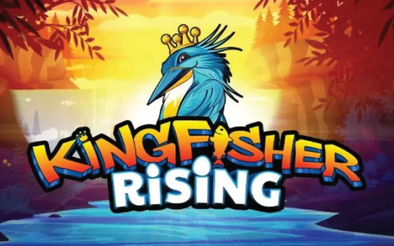 kingfisher rising